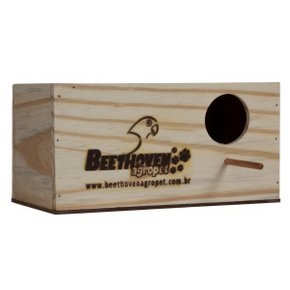 01 ninho passaro agapornis simples