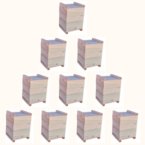 01 10 caixas inpa abelhas sem ferrao eucalipto 18x18