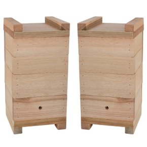 01 kit 2 caixas inpa abelhas sem ferrao eucalipto 10x10