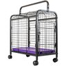 03 leva pet black multiuso lilas