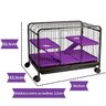 02 fauna pet roedores black lilas p