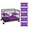 03 fauna pet roedores black lilas p