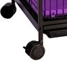 04 fauna pet roedores black lilas p