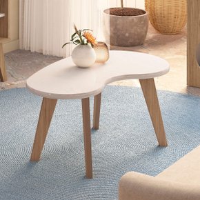 08 mesa de centro organica com bordas boleadas