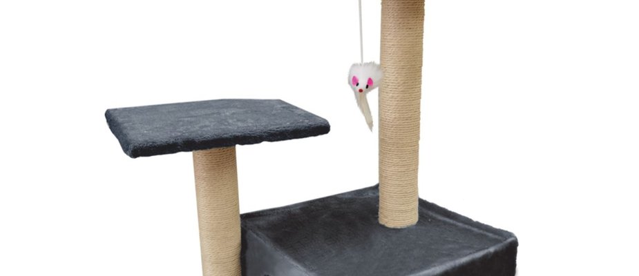 Arranhador para gatos: Saiba como escolher! Arranhador para gatos: Saiba como escolher!