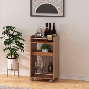 16 carrinho bar brito com adega