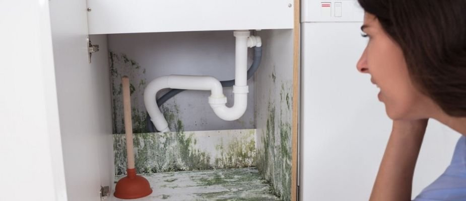 Como acabar com mofo nos móveis: soluções eficazes para manter sua casa saudável e elegante