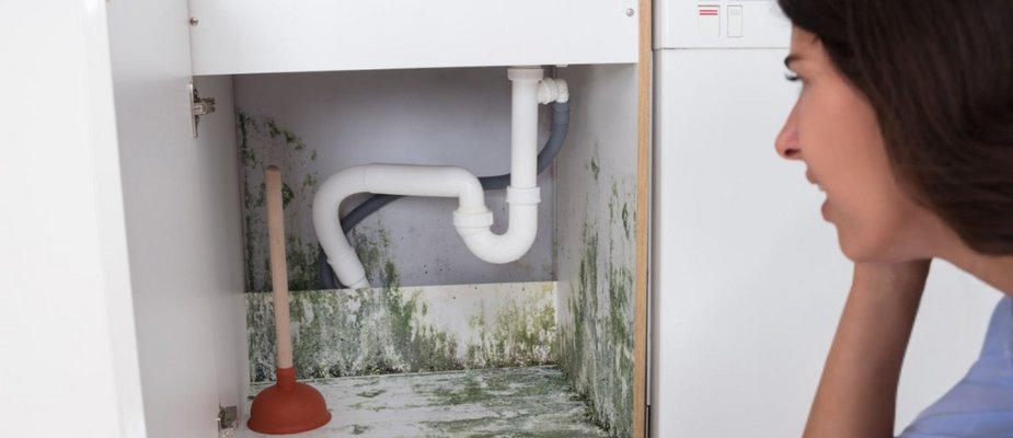 Como acabar com mofo nos móveis: soluções eficazes para manter sua casa saudável e elegante Como acabar com mofo nos móveis: soluções eficazes para manter sua casa saudável e elegante